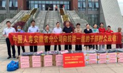 江淮抗洪 中国人寿用行动践行国企担当