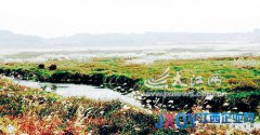 建立跨省流域生态补偿机制 加快《生态补偿条例》立法进程
