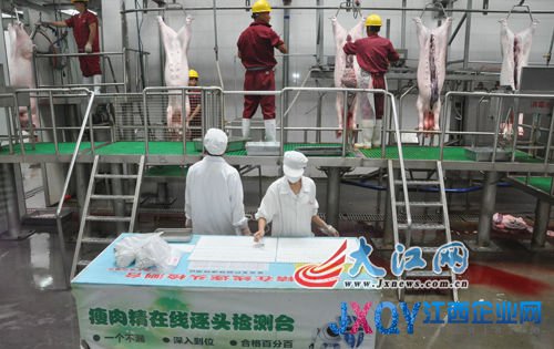 江西举办生猪定点屠宰企业开放日（时雨摄）