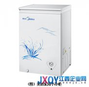 多元化需求催生市场 家用小冷柜受用户热宠
