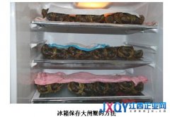 大闸蟹丰收季 小天鹅冰箱为“吃货”增新鲜