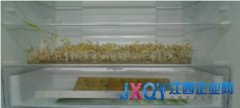 玩转终端差异化 美的冰箱一马当“鲜”