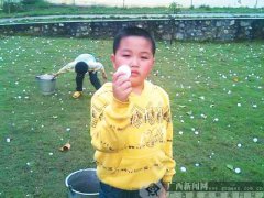 广西部分地方遭冰雹袭击 数百民房受损(图)