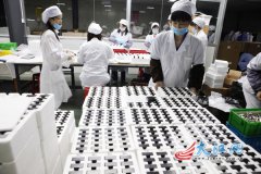扶持企业做大做强 工业实现大步走
