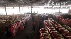 双胞胎：全国猪饲料十包有其一