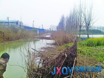 南京7污企搬迁前疯狂排污:活鱼入水10分钟就死