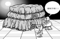 分析称31省份公开信息不到1/3 真实性有待考察