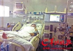 H7N9禽流感的前世今生：传染源依然不清楚(图)