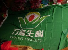 万福生科案罚单渐近 平安证券前管理团队全部离任