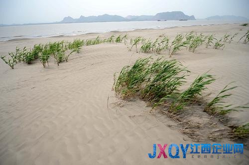 被忽视的“江南伤疤”——南方部分地区土地沙化调查