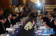 王毅：警惕个别国家为一己私利在南海兴风作浪