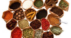 洋中药三分天下有其一 中国中药面临种质资源危