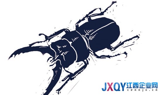 威龙有机葡萄酒被污染调查：山东基地滥用化学农药