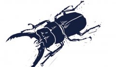 威龙有机葡萄酒被污染调查：山东基地滥用化学