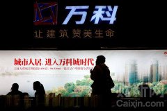 万科坚持&ldquo;不拿地王&rdquo;策略不动摇