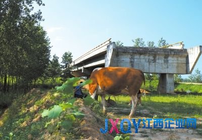 在河南省淮滨县境内,桥头接线道路工程未能实施而形成的“断头桥”8月6日摄。新华社发